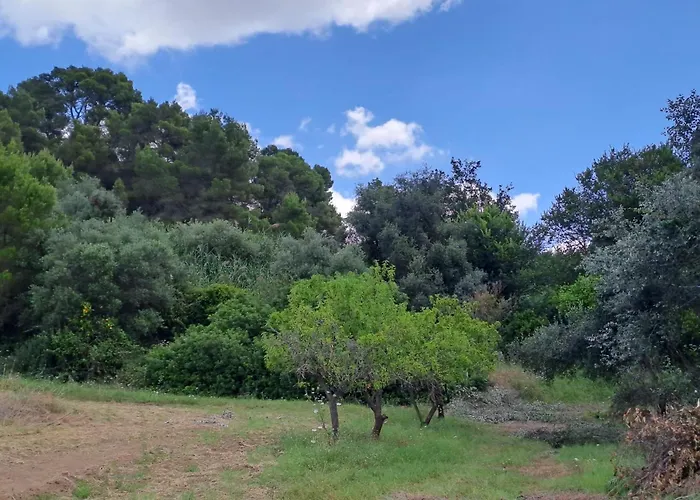 Villa Francesca - Camere Con Giardino