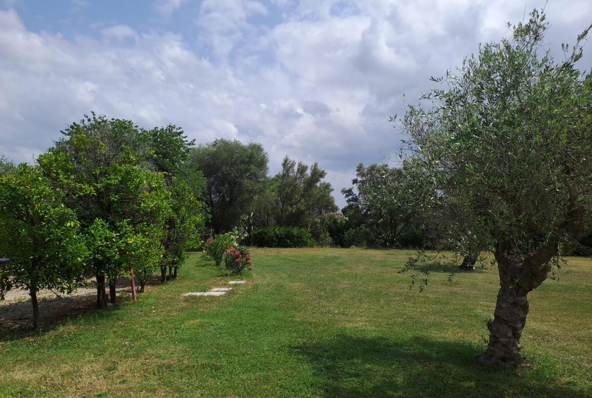 Francesca - Con Giardino Castellaneta