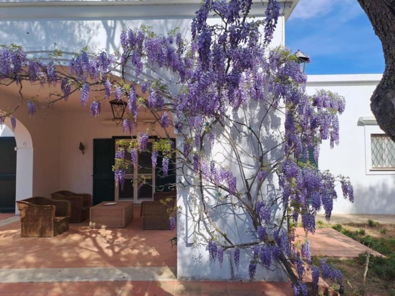 Francesca - Con Giardino