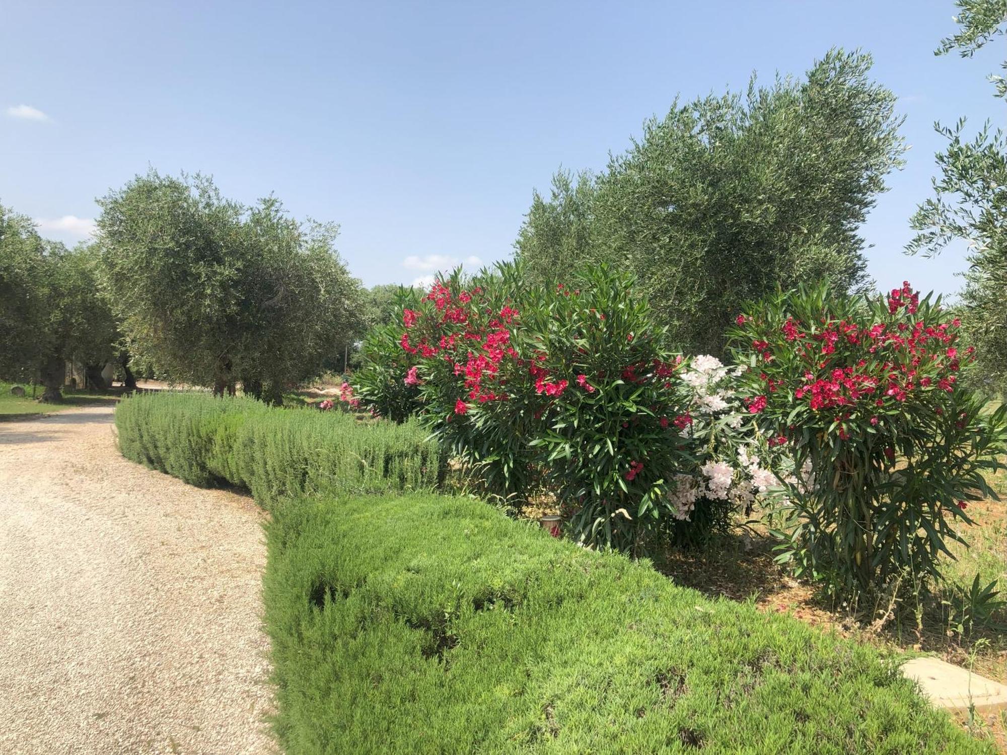 Francesca - Con Giardino Alojamento de Turismo Selvagem Castellaneta